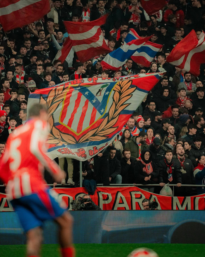 欧洲杯赛前备战训练情况报道